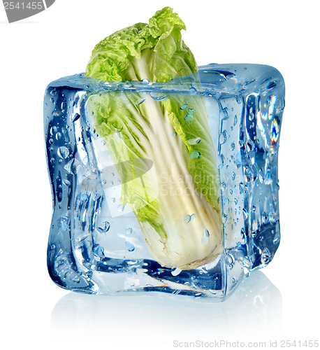 Image of Ice cube and chinese cabbage