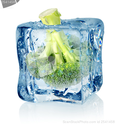 Image of Broccoli in ice