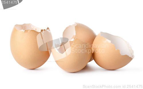 Image of Empty eggs shell