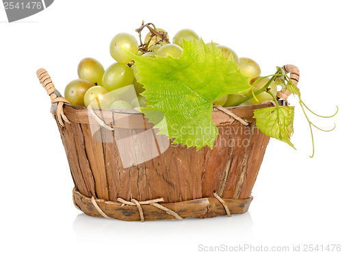 Image of Grapes in a basket isolated