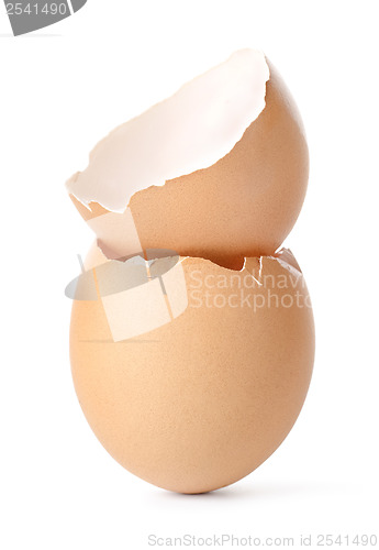 Image of Empty egg shell