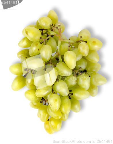 Image of Grapes top view