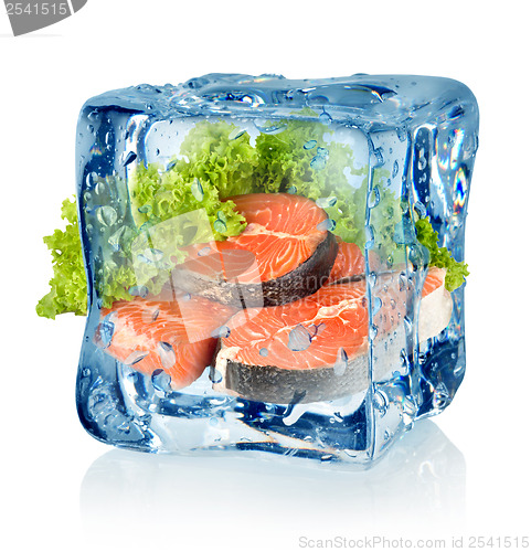 Image of Ice cube and salmon