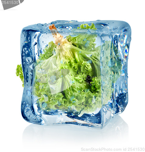 Image of Ice cube and lettuce