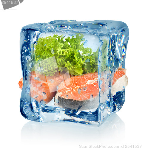 Image of Ice cube and fish