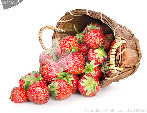 Image of Strawberries and basket