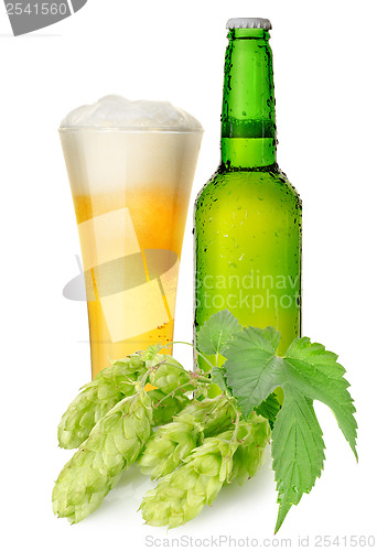 Image of Beer and hops