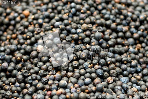 Image of Blueberry