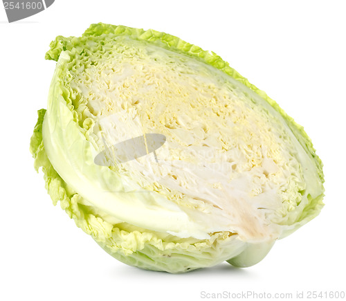 Image of Cross section of savoy cabbage