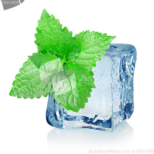 Image of Ice cube and mint