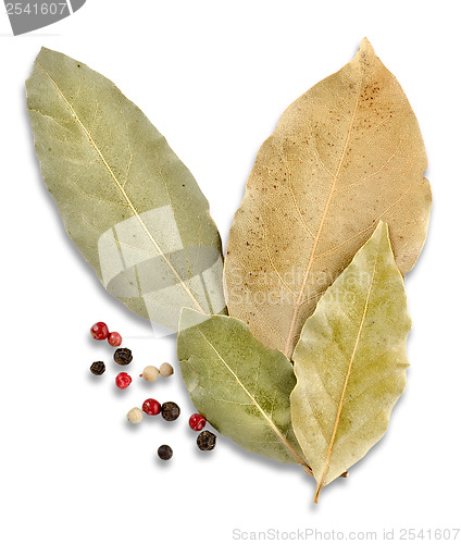Image of Bay leaves and spices