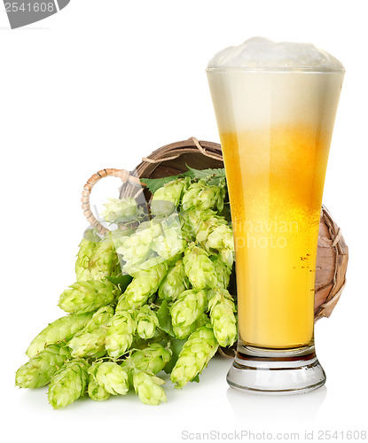 Image of Light beer and hop in basket