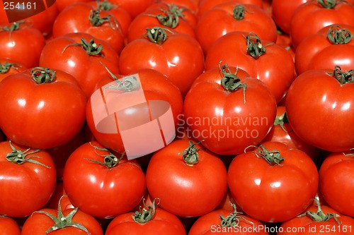 Image of Organic tomatoes