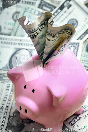 Image of Stuffed piggy bank with US dollars