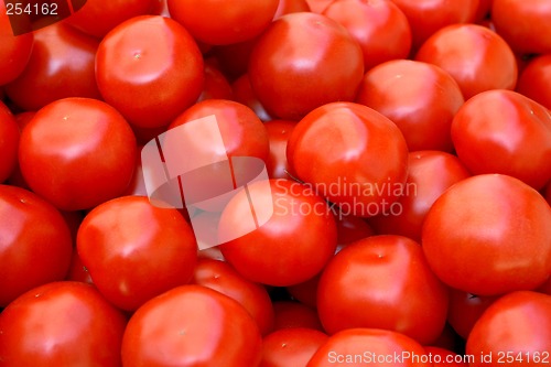 Image of Red tomatoes