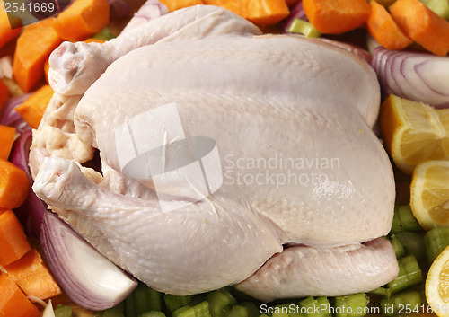 Image of Chicken and pot roast ingredients from above