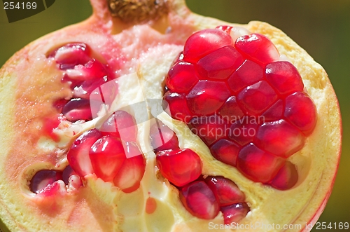 Image of an open pomegranate