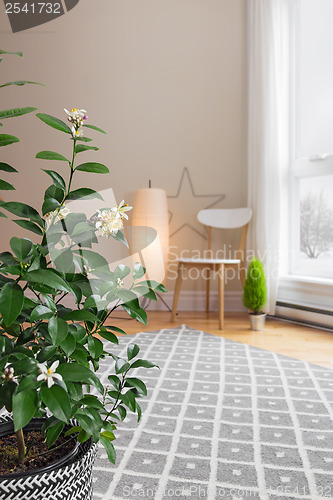 Image of Blooming lemon tree in a room with modern decor