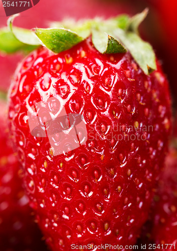 Image of One berry strawberry