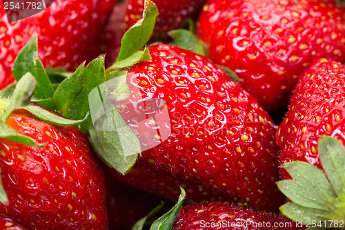 Image of ripe strawberries