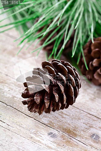 Image of christmas fir tree with pinecones 
