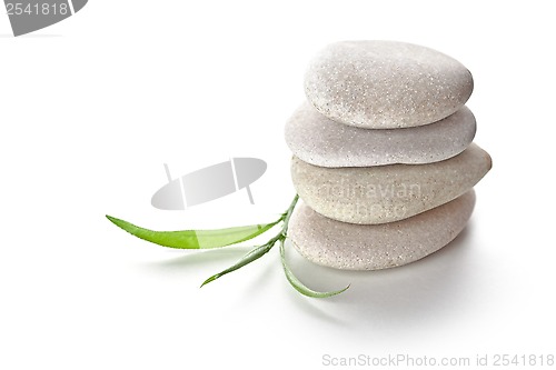 Image of stones and green leaves 