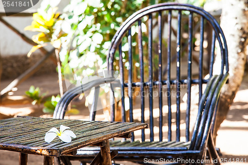 Image of Garden Furniture