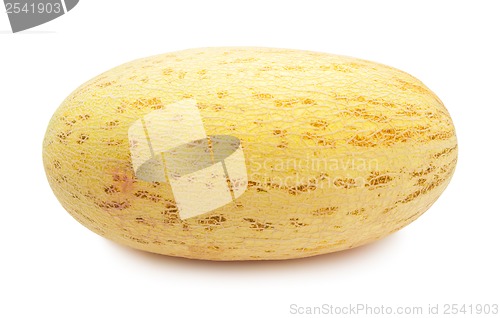 Image of Melon