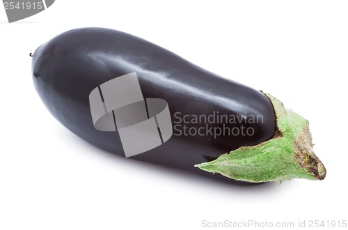 Image of Aubergine