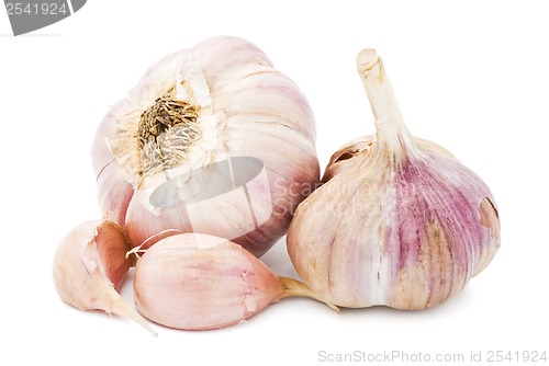 Image of Garlic