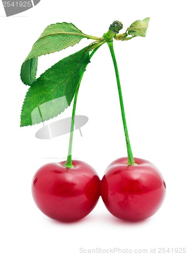 Image of Red cherry