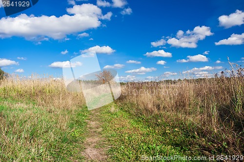 Image of Meadow