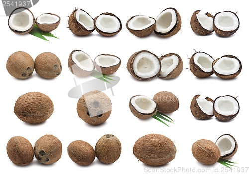 Image of Coconuts