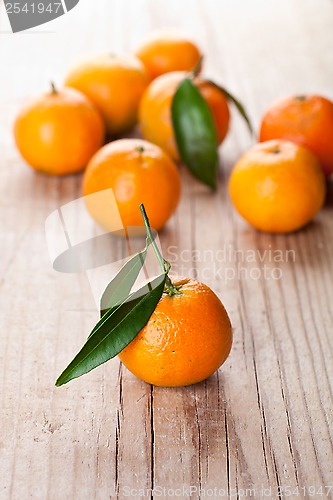 Image of tangerines with leaves 