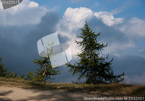 Image of Hiking in natural park in Italy