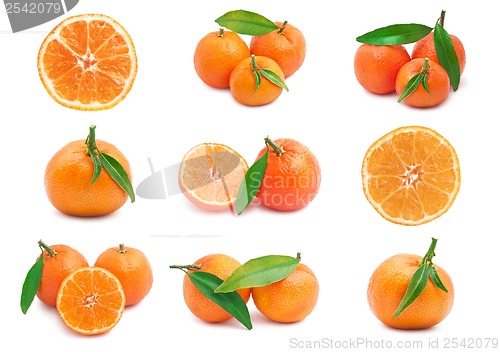 Image of Mandarins