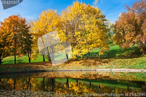 Image of Autumn