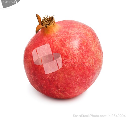 Image of Pomegranate