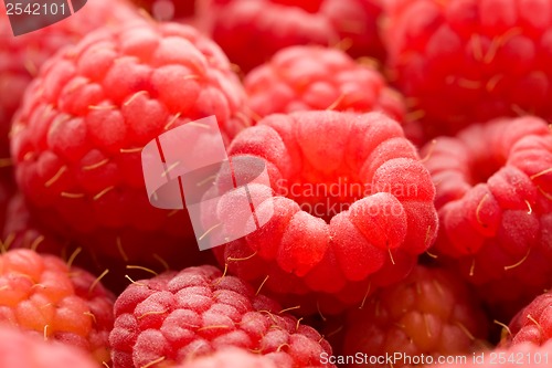 Image of Raspberries