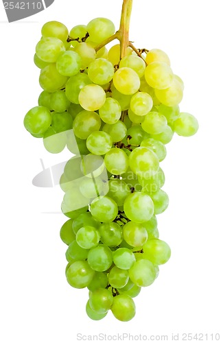 Image of Grapes