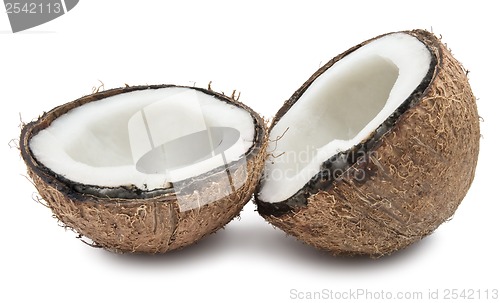 Image of Coconut