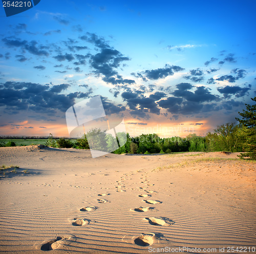 Image of Footprints in the sand