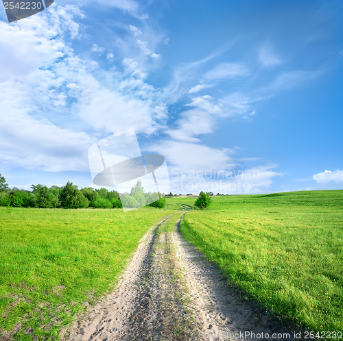 Image of Country road in a field