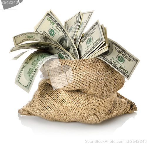 Image of Money in the bag