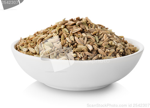 Image of Fennel  in plate