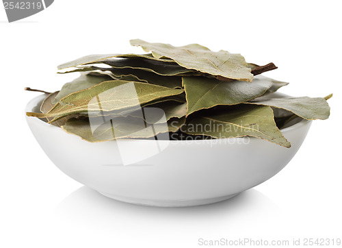 Image of Bay leaves in plate