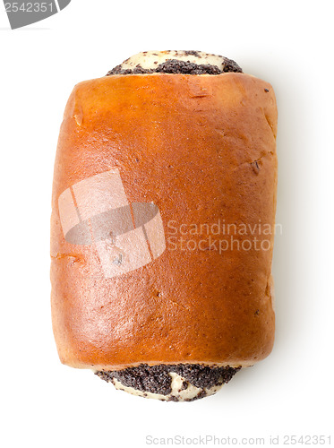 Image of Bun with poppy seeds isolated