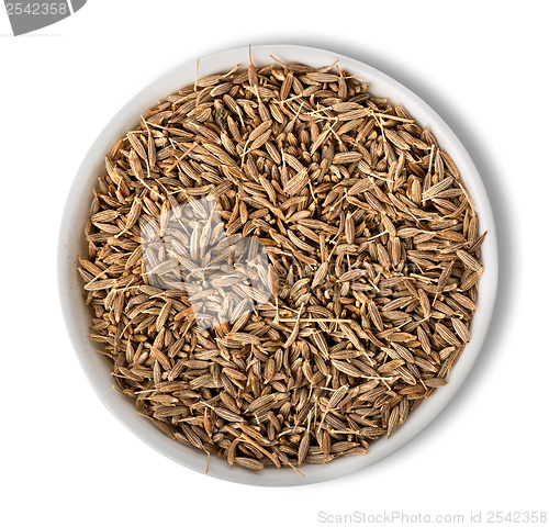 Image of Cumin in plate isolated