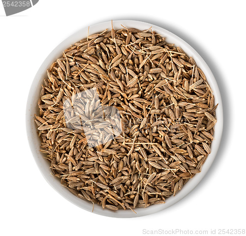 Image of Cumin in plate isolated