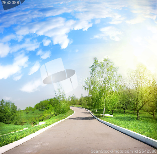 Image of Paved road in a green park